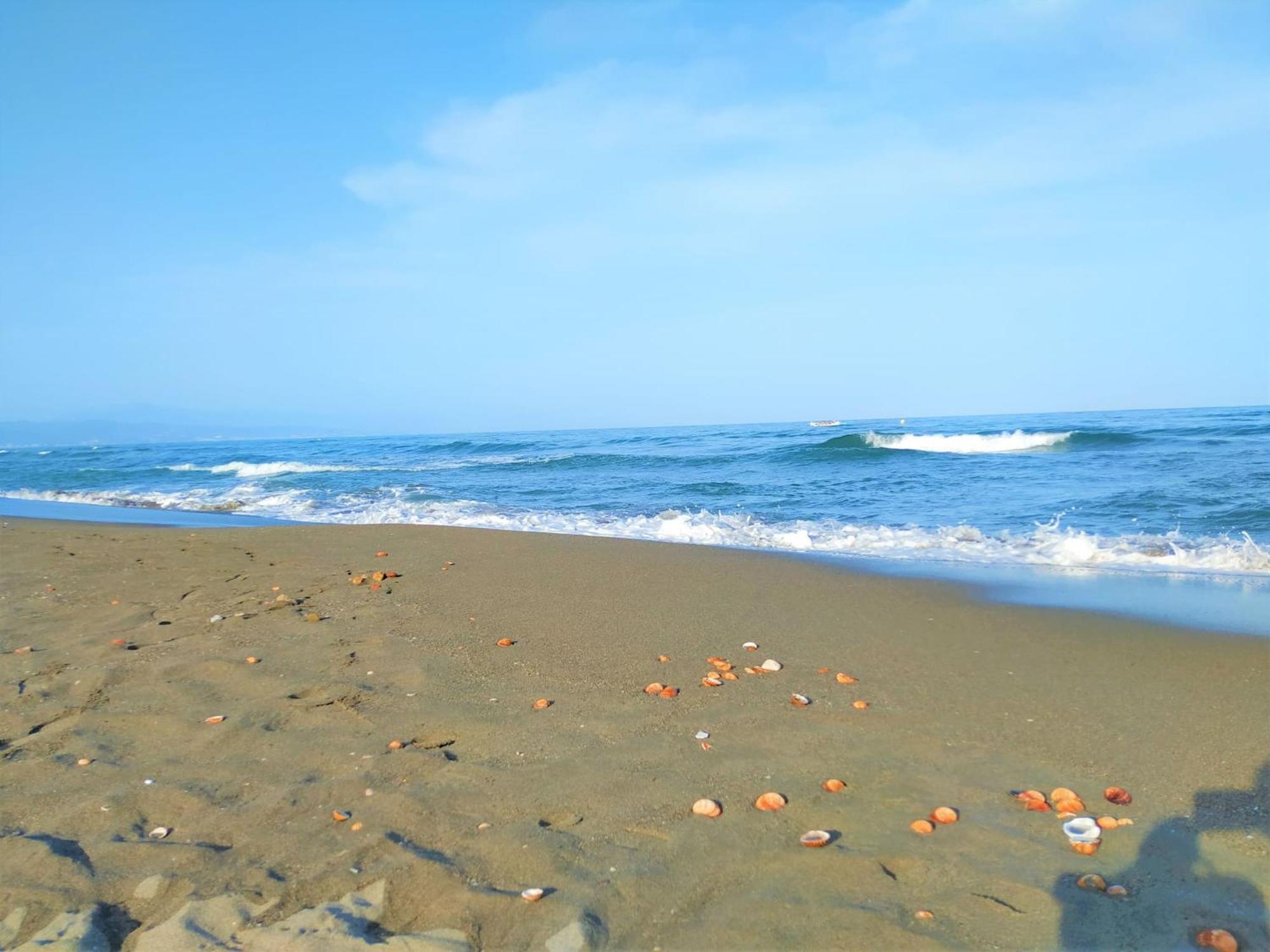 Lovely Sea And Garden View Benalbeach Lejlighed *